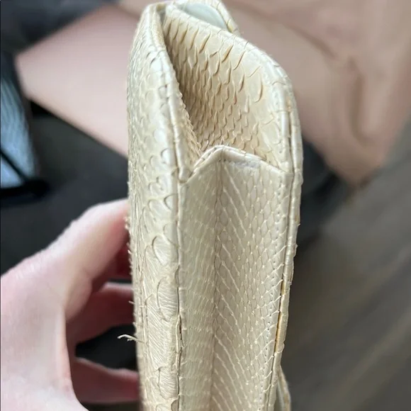 Kara Ross skin Clutch with Gold Hardware - Picture 6 of 14